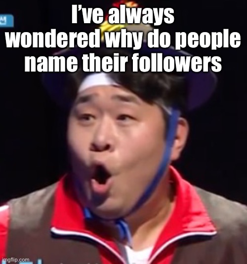 I don’t hate it or anything I’m just curious why | I’ve always wondered why do people name their followers | image tagged in seyoon | made w/ Imgflip meme maker
