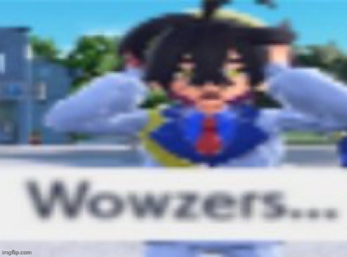 wowzers | image tagged in wowzers | made w/ Imgflip meme maker