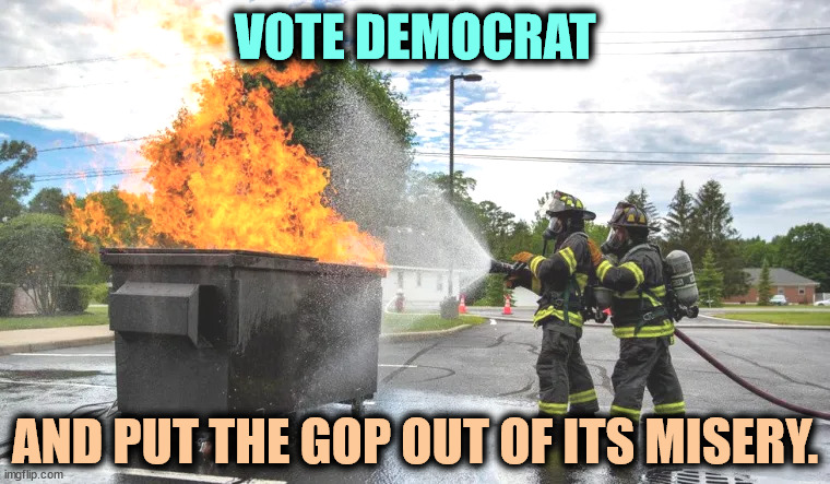VOTE DEMOCRAT; AND PUT THE GOP OUT OF ITS MISERY. | image tagged in democrats,adults,republicans,dysfunctional,messed up,forever | made w/ Imgflip meme maker