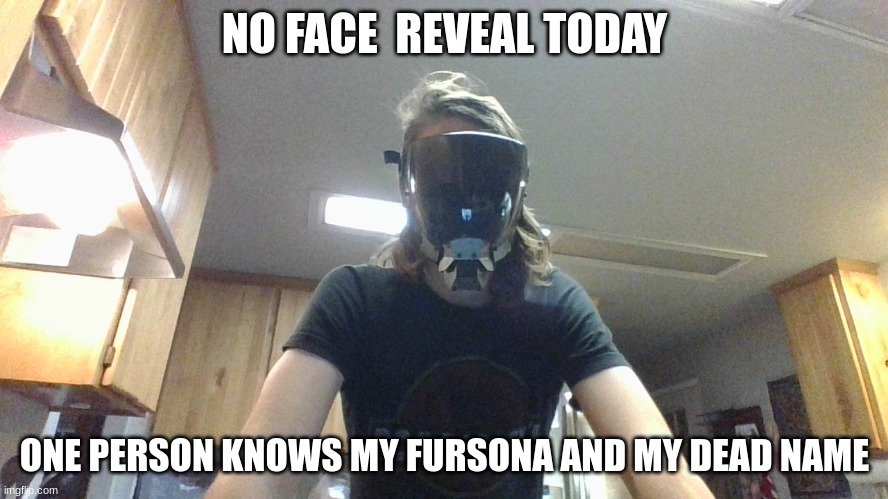 yes | NO FACE  REVEAL TODAY; ONE PERSON KNOWS MY FURSONA AND MY DEAD NAME | image tagged in face reveal | made w/ Imgflip meme maker