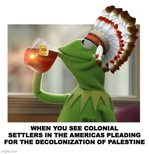 Decolonization Free Palestine | WHEN YOU SEE COLONIAL SETTLERS IN THE AMERICAS PLEADING FOR THE DECOLONIZATION OF PALESTINE | image tagged in native american kermit | made w/ Imgflip meme maker