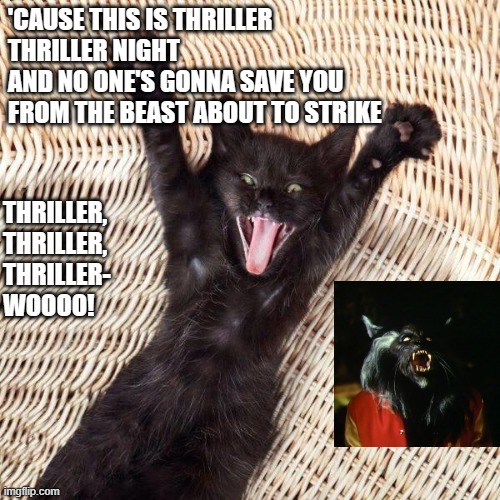 Happy cat  | 'CAUSE THIS IS THRILLER
THRILLER NIGHT
AND NO ONE'S GONNA SAVE YOU
FROM THE BEAST ABOUT TO STRIKE; THRILLER,
THRILLER, 
THRILLER- 
WOOOO! | image tagged in happy cat | made w/ Imgflip meme maker