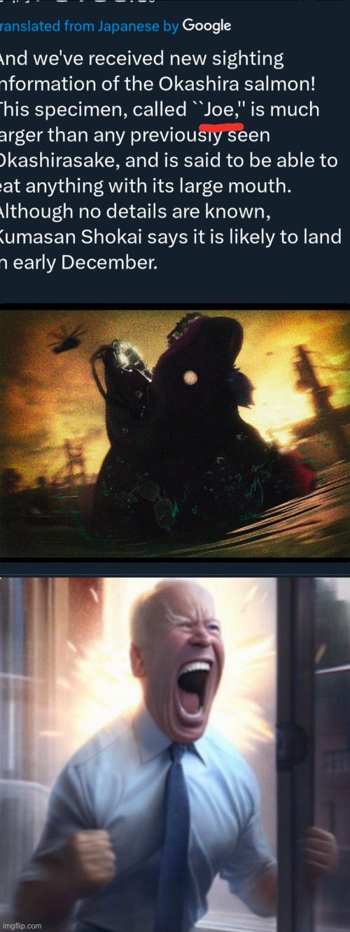 image tagged in biden lets go | made w/ Imgflip meme maker
