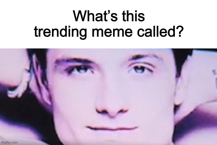 I must know pls | What’s this trending meme called? | made w/ Imgflip meme maker