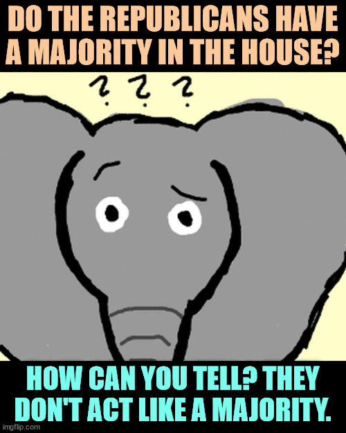 Republicans are only happy in opposition. They don't know what to do when they're in power. | DO THE REPUBLICANS HAVE A MAJORITY IN THE HOUSE? HOW CAN YOU TELL? THEY DON'T ACT LIKE A MAJORITY. | image tagged in republicans,confused,majority,incompetence | made w/ Imgflip meme maker