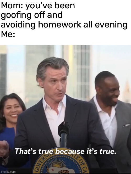 it is what it is | Mom: you’ve been 
goofing off and 
avoiding homework all evening
Me: | image tagged in funny,meme,homework,gavin newsom,its true because its true | made w/ Imgflip meme maker