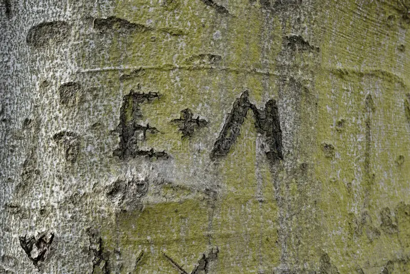 High Quality Initials carved in tree Blank Meme Template