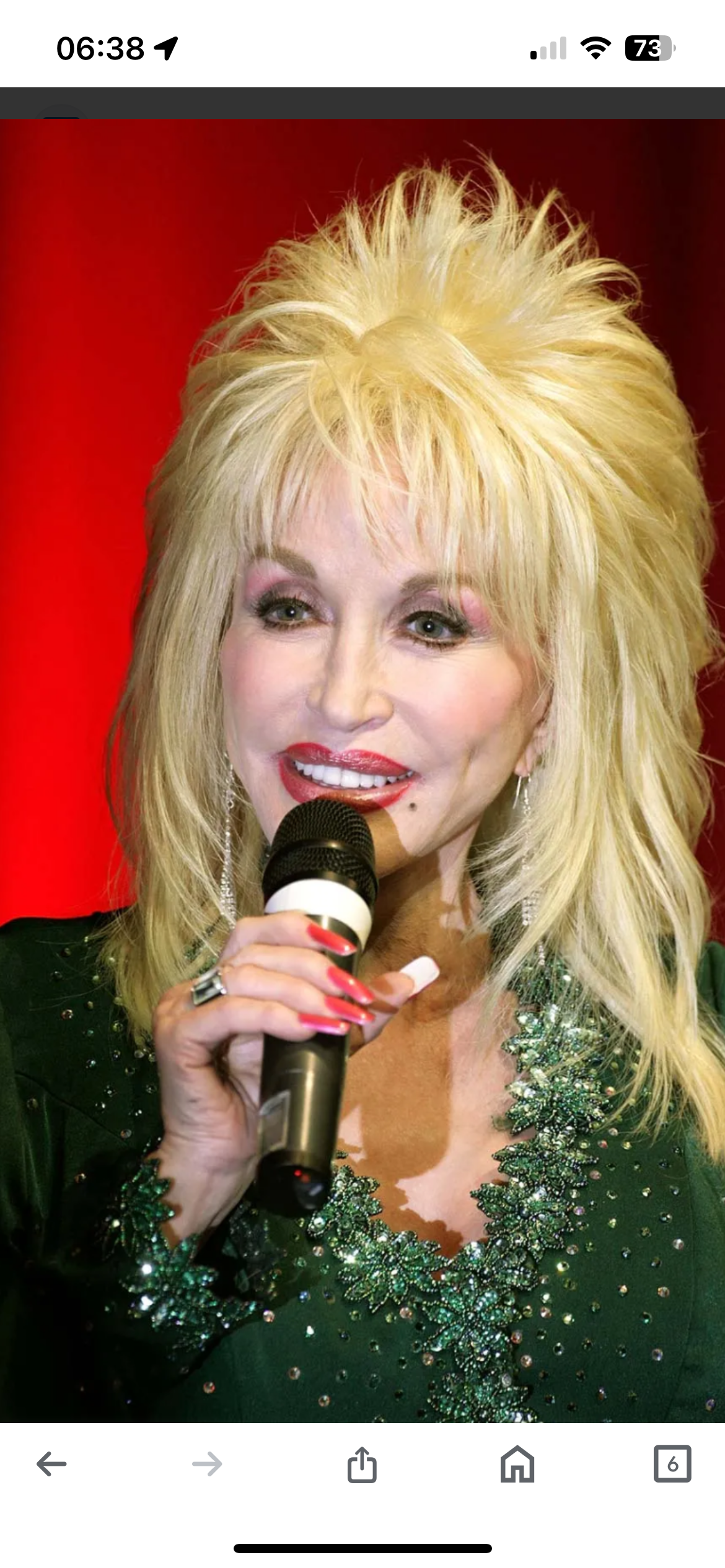 Parton on a carton Blank Meme Template