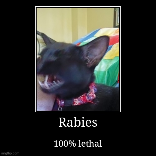 Rabies | Rabies | 100% lethal | image tagged in demotivationals | made w/ Imgflip demotivational maker