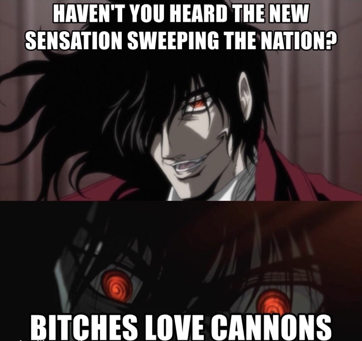 Bitches love cannons Blank Meme Template