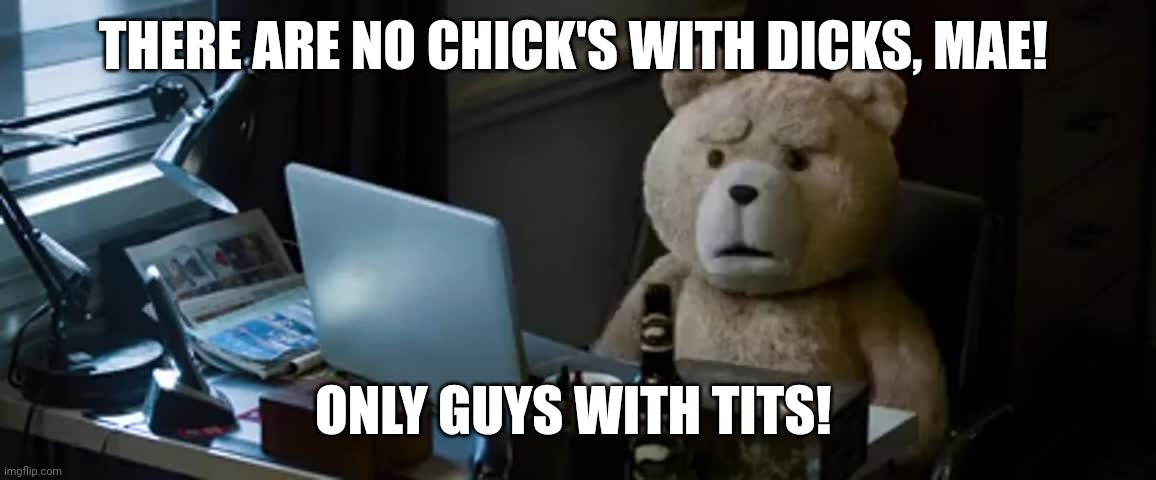 Ted quote | THERE ARE NO CHICK'S WITH DICKS, MAE! ONLY GUYS WITH TITS! | image tagged in chick's with dicks | made w/ Imgflip meme maker