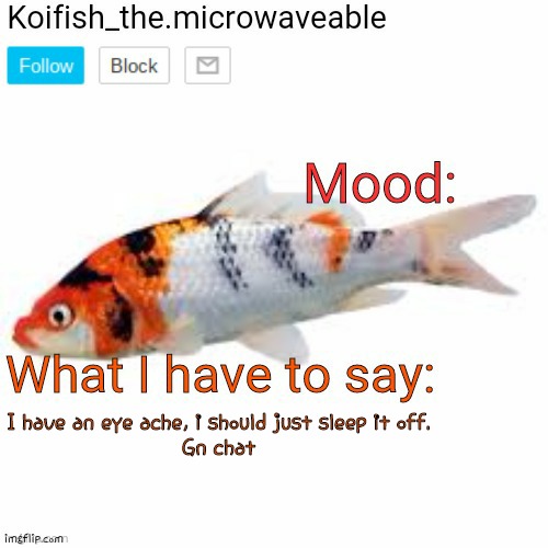 Koifish_the.microwaveable announcement | I have an eye ache, i should just sleep it off.

Gn chat | image tagged in koifish_the microwaveable announcement | made w/ Imgflip meme maker