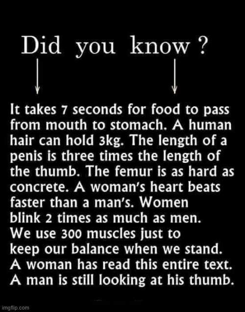 The Human Body | image tagged in dick | made w/ Imgflip meme maker