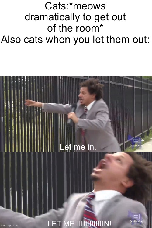 In-n-out but it’s an experience,not a restaurant. | Cats:*meows dramatically to get out of the room*
Also cats when you let them out: | image tagged in let me in,cats,funny memes | made w/ Imgflip meme maker