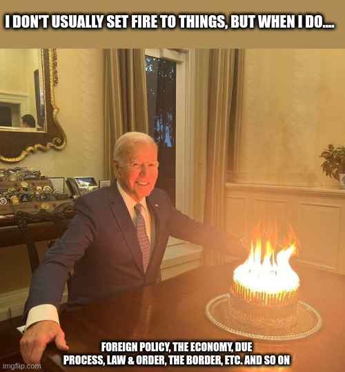 I DON'T USUALLY SET FIRE TO THINGS, BUT WHEN I DO.... FOREIGN POLICY, THE ECONOMY, DUE PROCESS, LAW & ORDER, THE BORDER, ETC. AND SO ON | image tagged in fire | made w/ Imgflip meme maker