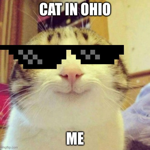 Cat in Ohio | CAT IN OHIO; ME | image tagged in memes,smiling cat | made w/ Imgflip meme maker