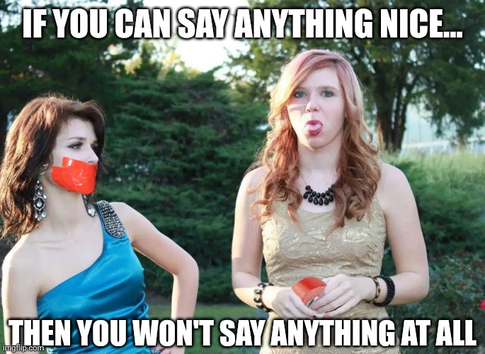 Nothing nice | IF YOU CAN SAY ANYTHING NICE... THEN YOU WON'T SAY ANYTHING AT ALL | image tagged in no sass,mean,duct tape,not listening,silence | made w/ Imgflip meme maker