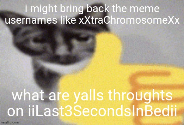 thumbs up cat | i might bring back the meme usernames like xXtraChromosomeXx; what are yalls throughts on iiLast3SecondsInBedii | image tagged in thumbs up cat | made w/ Imgflip meme maker