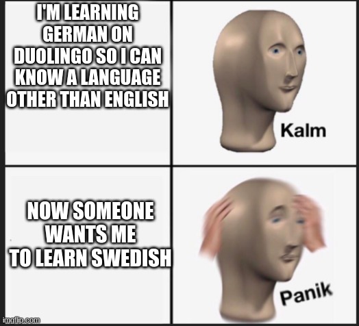 Calm Panic | I'M LEARNING GERMAN ON DUOLINGO SO I CAN KNOW A LANGUAGE OTHER THAN ENGLISH NOW SOMEONE WANTS ME TO LEARN SWEDISH | image tagged in calm panic | made w/ Imgflip meme maker