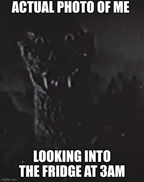 godzilla staring | ACTUAL PHOTO OF ME; LOOKING INTO THE FRIDGE AT 3AM | image tagged in godzilla staring | made w/ Imgflip meme maker