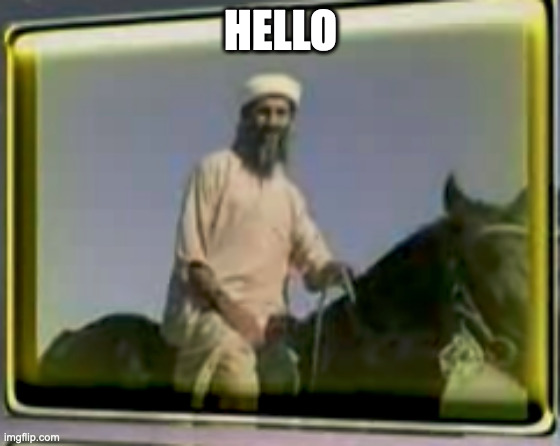 osama on horse | HELLO | image tagged in osama on horse | made w/ Imgflip meme maker