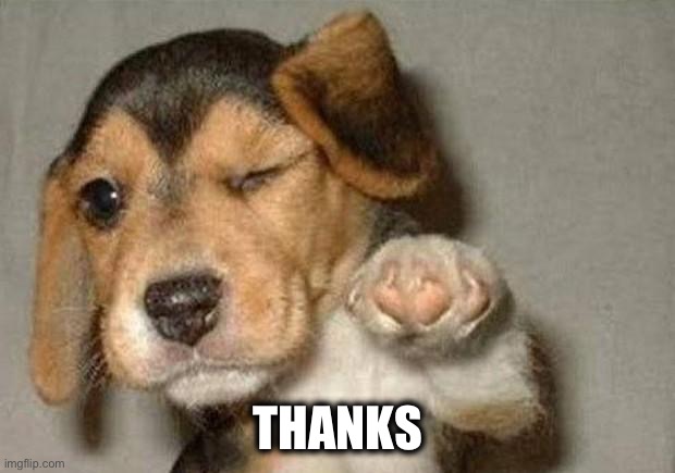 THANKS | image tagged in winking dog | made w/ Imgflip meme maker