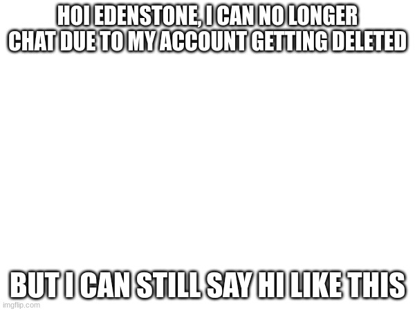 HOI EDENSTONE, I CAN NO LONGER CHAT DUE TO MY ACCOUNT GETTING DELETED; BUT I CAN STILL SAY HI LIKE THIS | image tagged in random bullshit go,random tag i decided to put,why are you reading the tags,oh wow are you actually reading these tags | made w/ Imgflip meme maker