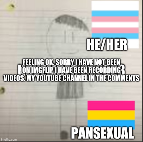 Daily announcement November 21 2023 | HE/HER; NOVEMBER 21 2023; FEELING OK. SORRY I HAVE NOT BEEN ON IMGFLIP I HAVE BEEN RECORDING VIDEOS. MY YOUTUBE CHANNEL IN THE COMMENTS; PANSEXUAL | image tagged in pokechimp announcement | made w/ Imgflip meme maker