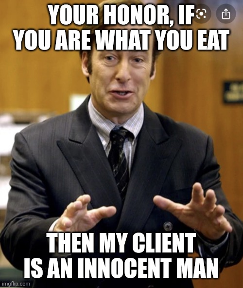 Well I guess he's innocent | YOUR HONOR, IF YOU ARE WHAT YOU EAT; THEN MY CLIENT IS AN INNOCENT MAN | image tagged in your honor | made w/ Imgflip meme maker