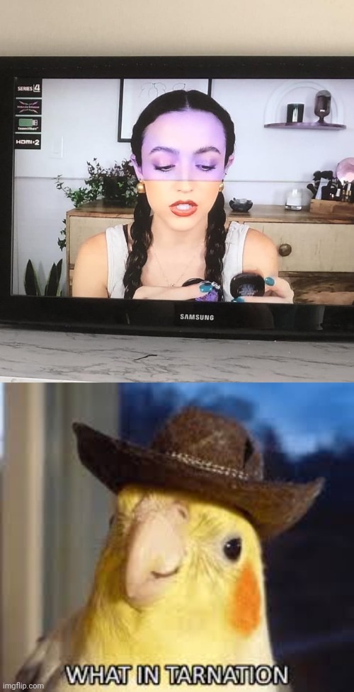 The tv screen fail | image tagged in what in tarnation,tv,tv screen,you had one job,memes,screen | made w/ Imgflip meme maker