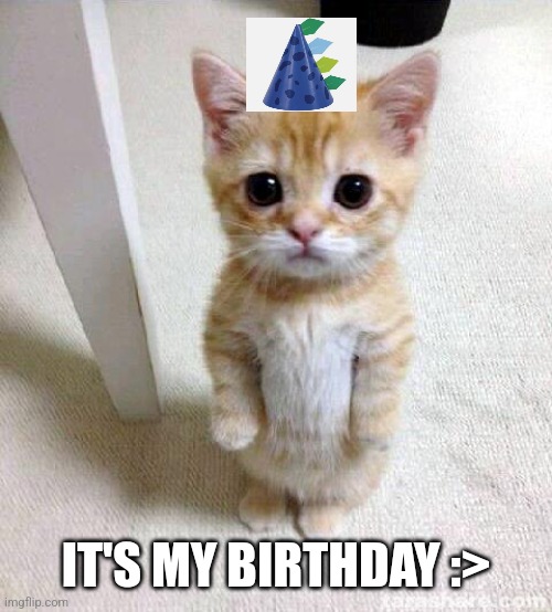 This isn't up vote begging. :> | IT'S MY BIRTHDAY :> | image tagged in memes,cute cat,birthday | made w/ Imgflip meme maker