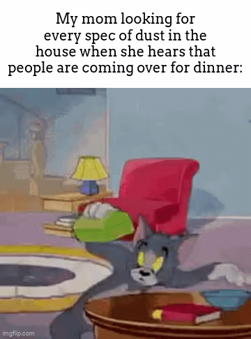 fr tho, like, is not like they're going to be eating under my bed!! | My mom looking for every spec of dust in the house when she hears that people are coming over for dinner: | image tagged in gifs,meme,house,moms | made w/ Imgflip video-to-gif maker