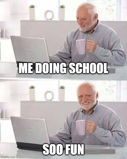 Just to be clear this is expectation..not reality lol | ME DOING SCHOOL; SOO FUN | image tagged in memes,hide the pain harold | made w/ Imgflip meme maker