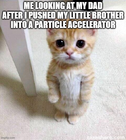Cute Cat | ME LOOKING AT MY DAD AFTER I PUSHED MY LITTLE BROTHER INTO A PARTICLE ACCELERATOR | image tagged in memes,cute cat | made w/ Imgflip meme maker