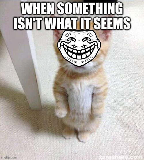 troll cat | WHEN SOMETHING ISN'T WHAT IT SEEMS | image tagged in memes,cute cat | made w/ Imgflip meme maker