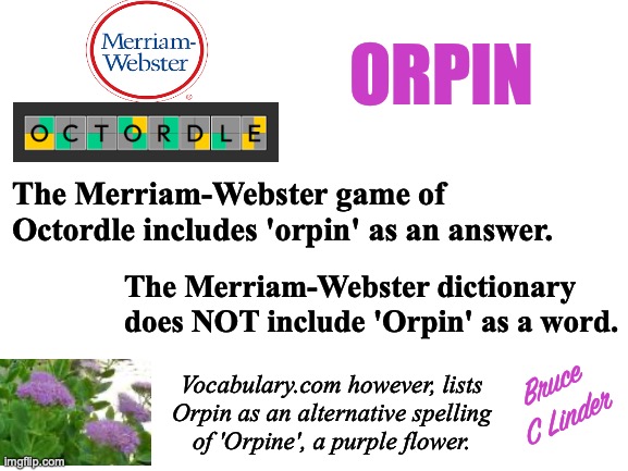 Octordle | ORPIN; The Merriam-Webster game of Octordle includes 'orpin' as an answer. The Merriam-Webster dictionary does NOT include 'Orpin' as a word. Bruce
C Linder; Vocabulary.com however, lists
Orpin as an alternative spelling
of 'Orpine', a purple flower. | image tagged in octordle,wordle,merriam-webster,orpin,flower,purple | made w/ Imgflip meme maker