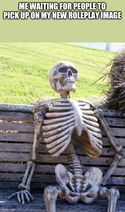Waiting Skeleton Meme | ME WAITING FOR PEOPLE TO PICK UP ON MY NEW ROLEPLAY IMAGE | image tagged in memes,waiting skeleton,roleplaying | made w/ Imgflip meme maker