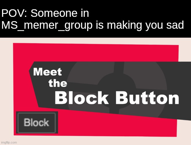 Meet the block button | POV: Someone in MS_memer_group is making you sad | image tagged in meet the block button | made w/ Imgflip meme maker