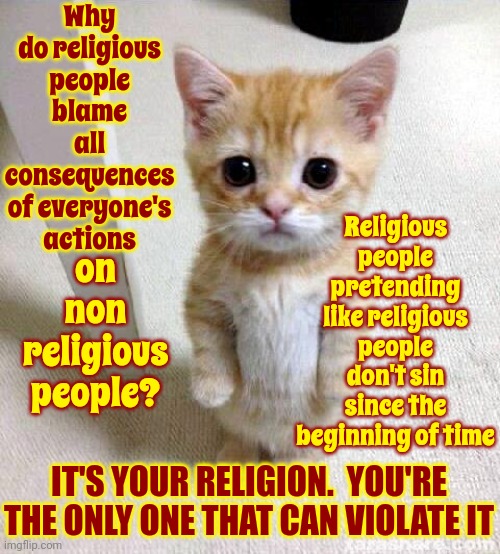It's Your Delusion, Excuse Me.  I Meant To Say, It's Your Religion And You Can't Force Everyone To Be A Part Of It | Why do religious people blame all consequences of everyone's actions; on non religious people? Religious people pretending like religious people don't sin since the beginning of time; IT'S YOUR RELIGION.  YOU'RE THE ONLY ONE THAT CAN VIOLATE IT | image tagged in memes,cute cat,religion,god religion universe,religions,loads shotgun with religious intent | made w/ Imgflip meme maker