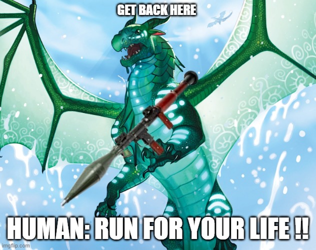 Dragon from Wings of Fire | GET BACK HERE; HUMAN: RUN FOR YOUR LIFE !! | image tagged in dragon from wings of fire | made w/ Imgflip meme maker