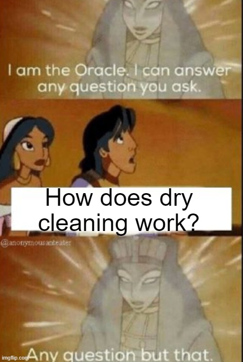 Seriously, do you know? | How does dry cleaning work? | image tagged in the oracle | made w/ Imgflip meme maker