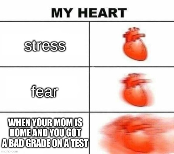 memes 1 | stress; fear; WHEN YOUR MOM IS HOME AND YOU GOT A BAD GRADE ON A TEST | image tagged in my heart blank | made w/ Imgflip meme maker