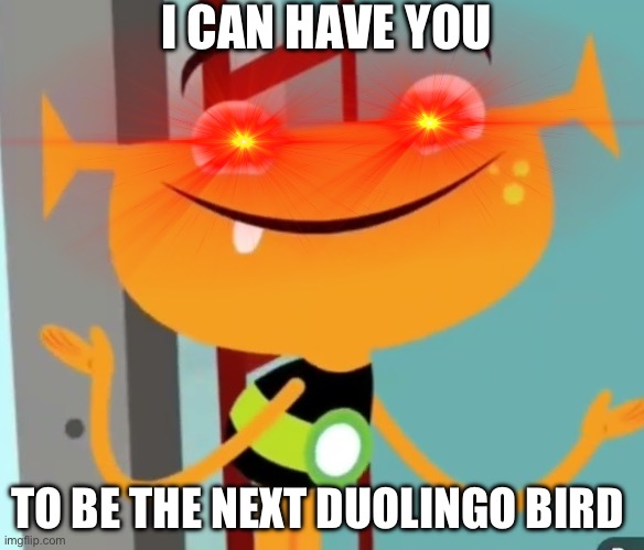 I CAN HAVE YOU TO BE THE NEXT DUOLINGO BIRD | image tagged in front facing plory | made w/ Imgflip meme maker