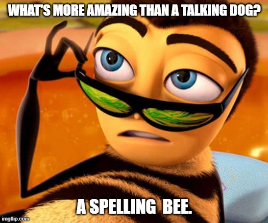 Daily Bad Dad Joke 11/21/2023 | WHAT'S MORE AMAZING THAN A TALKING DOG? A SPELLING  BEE. | image tagged in bee movie | made w/ Imgflip meme maker