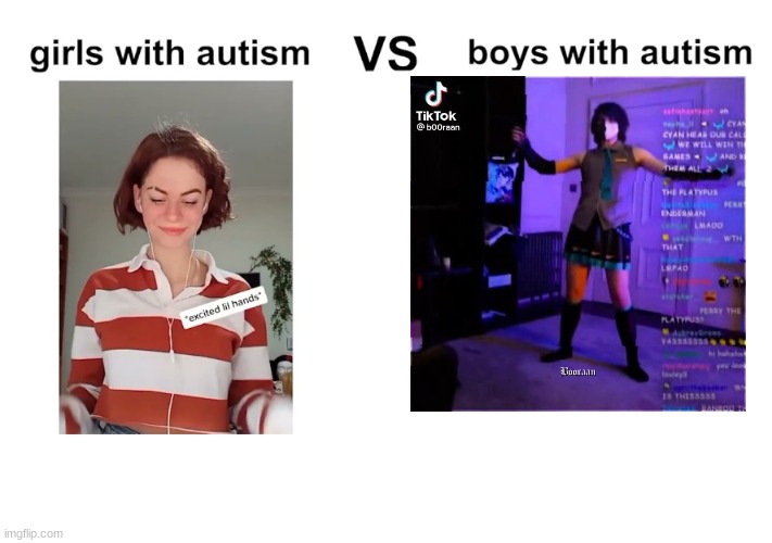Boys vs Girls | image tagged in hatsune miku,ranboo,autism | made w/ Imgflip meme maker