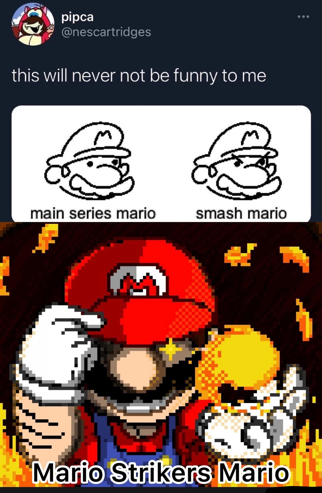 Mario strikers Blank Meme Template