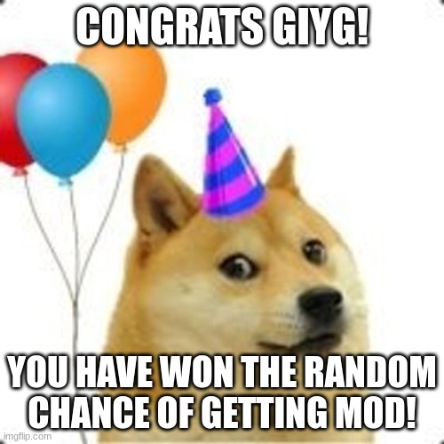 every follower has a 1/10 chance of getting mod | CONGRATS GIYG! YOU HAVE WON THE RANDOM CHANCE OF GETTING MOD! | image tagged in party doge | made w/ Imgflip meme maker