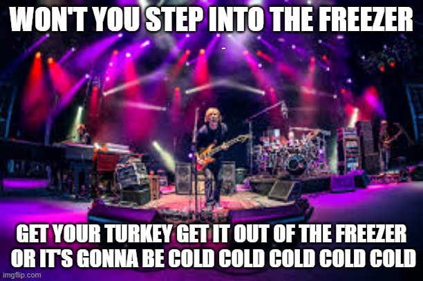 Phish | WON'T YOU STEP INTO THE FREEZER; LYLE; GET YOUR TURKEY GET IT OUT OF THE FREEZER  OR IT'S GONNA BE COLD COLD COLD COLD COLD | image tagged in phish | made w/ Imgflip meme maker