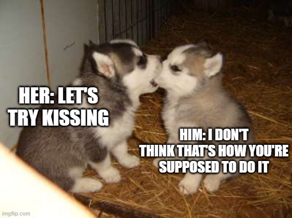 :3 | HIM: I DON'T THINK THAT'S HOW YOU'RE SUPPOSED TO DO IT; HER: LET'S TRY KISSING | image tagged in memes,cute puppies | made w/ Imgflip meme maker
