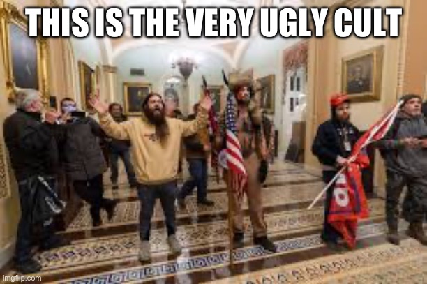 Capitol riot | THIS IS THE VERY UGLY CULT | image tagged in capitol riot | made w/ Imgflip meme maker